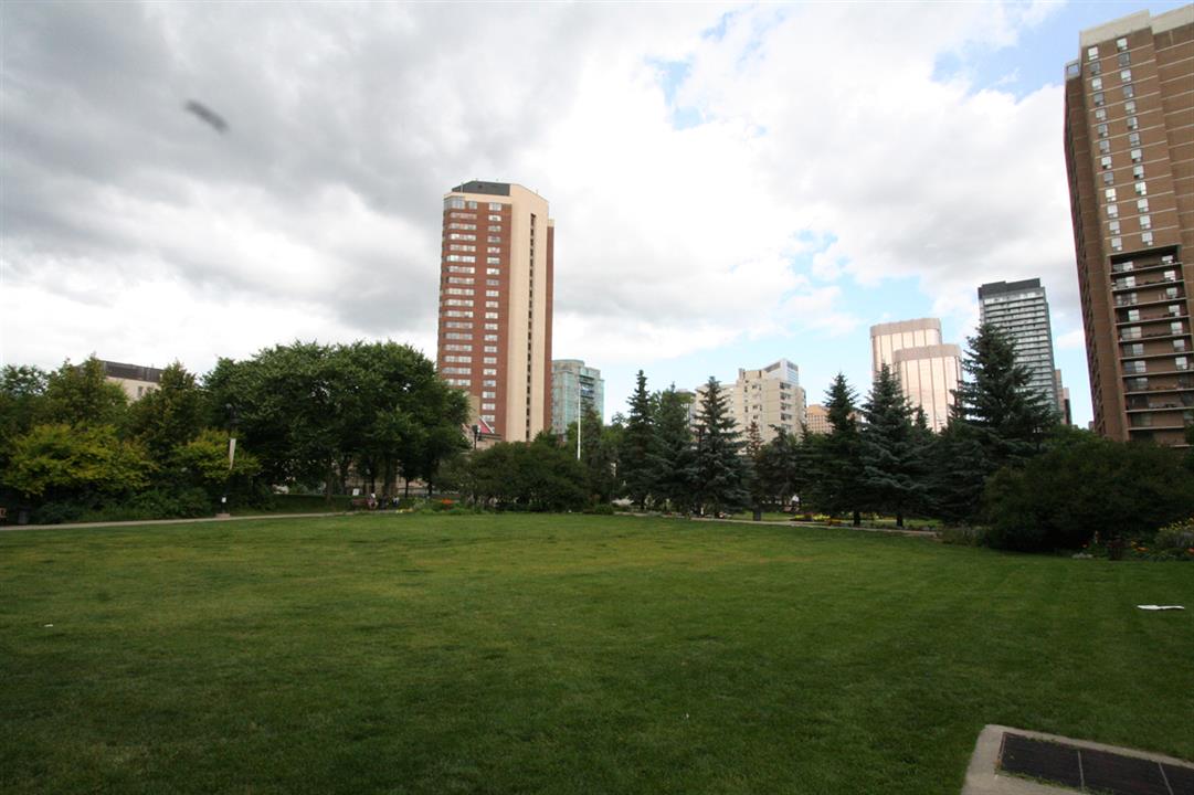 field 