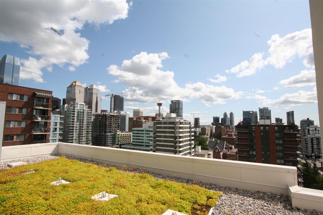Roof